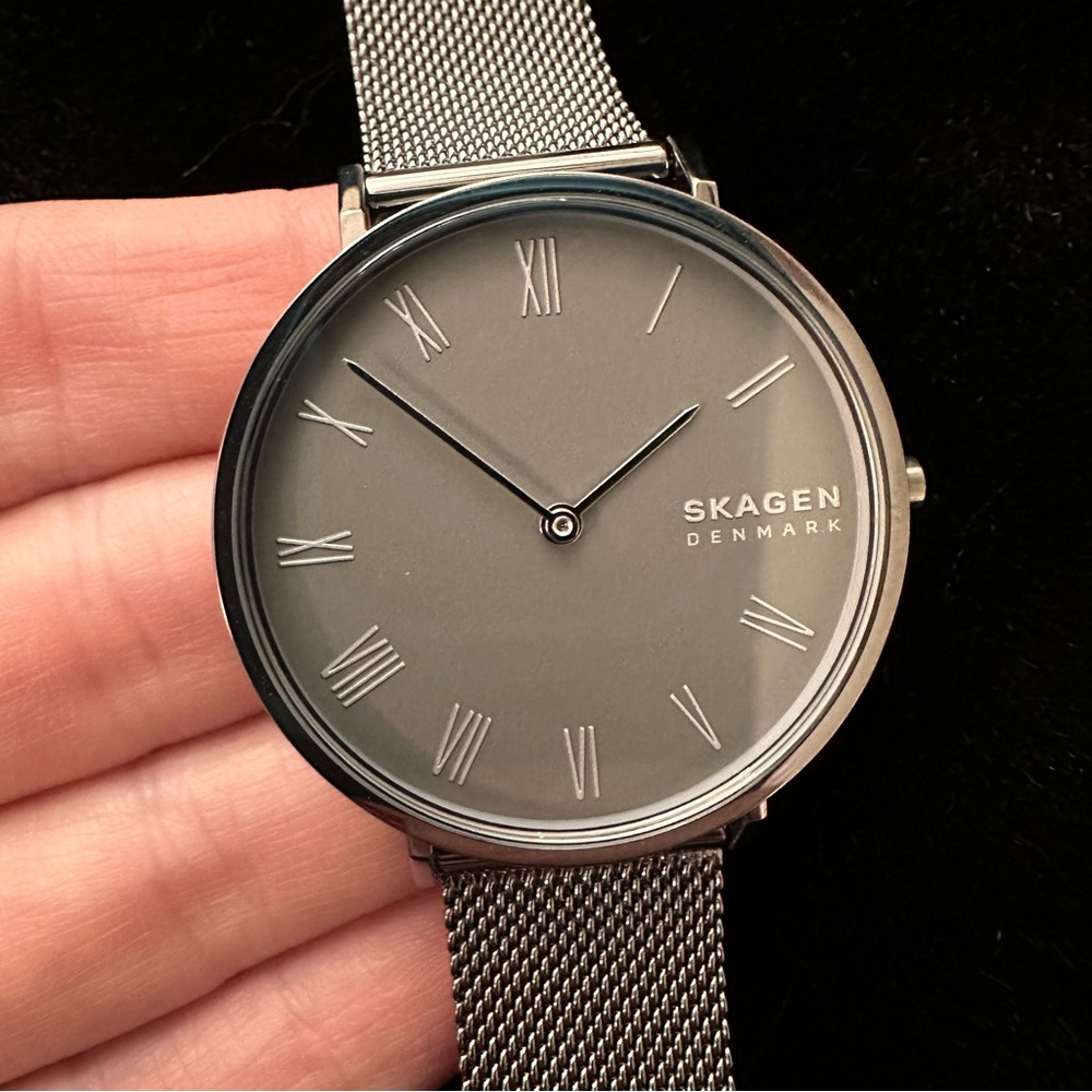 NWT!! Skagen (Denmark) Chrome Watch
